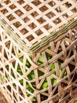 Bamboo Cloche, Set Of 2 18 Bamboo Cloche, Set Of 2 -Gardening Supplies 8613351 0154