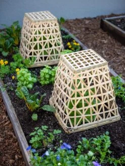 Bamboo Cloche, Set Of 2 17 Bamboo Cloche, Set Of 2 -Gardening Supplies 8613351 6766