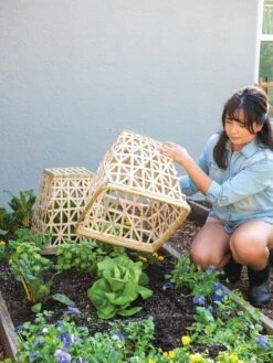 Bamboo Cloche, Set Of 2 15 Bamboo Cloche, Set Of 2 -Gardening Supplies 8613351 6862