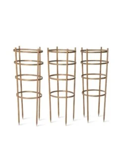 Bamboo Tomato Cages, Set Of 3 17 Bamboo Tomato Cages, Set Of 3 -Gardening Supplies 8613426 4679 bamboo tomato cages 3