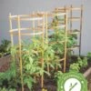 Bamboo Tomato Cages, Set Of 3 -Gardening Supplies 8613426 7