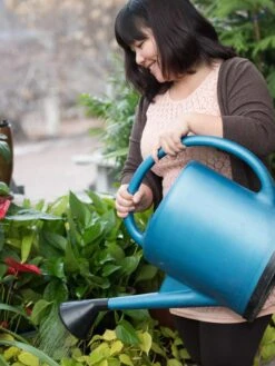 French Blue Watering Can -Gardening Supplies EmilyHoangSquare 0151 tif