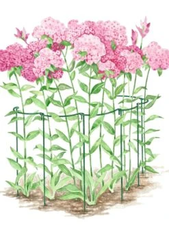 New Arrival -Gardening Supplies GS35241 02S tif