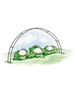 Super Hoops, Set Of 6 10 Super Hoops, Set Of 6 -Gardening Supplies GS39423 02S 3 4