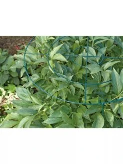 Grow Through Supports, Set Of 3 -Gardening Supplies GS40172 01 1