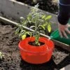 Tomato Halos, Set Of 3 -Gardening Supplies GS40357 01 tif